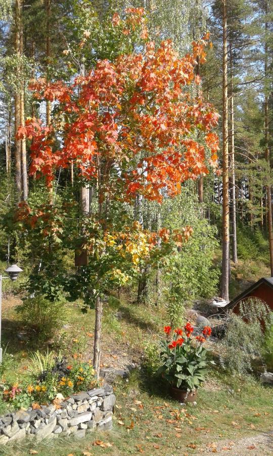 Holiday home Rantakallio Savonlinna, Tervetuloa Meille! Savonlinna